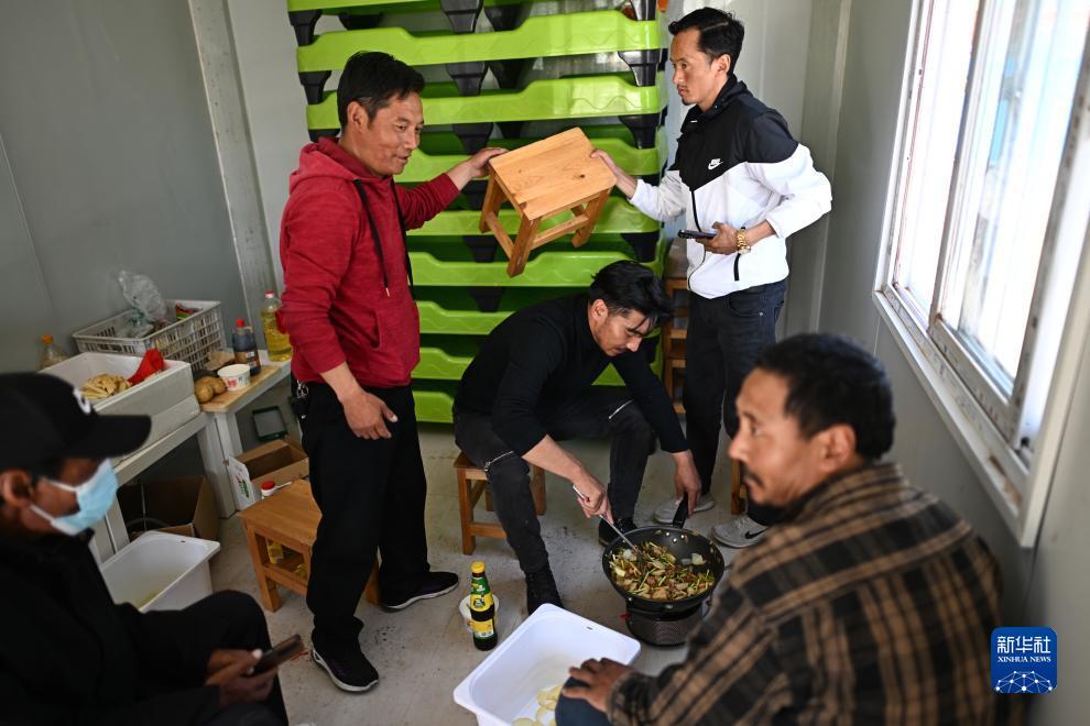 春风棋牌官网
